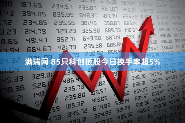 满瑞网 85只科创板股今日换手率超5%