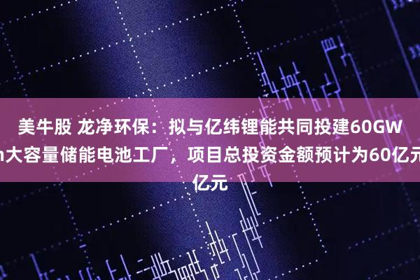 美牛股 龙净环保:拟与亿纬锂能共同投建60GWh大容量储能电池工厂,项目总投资金额预计为60亿元