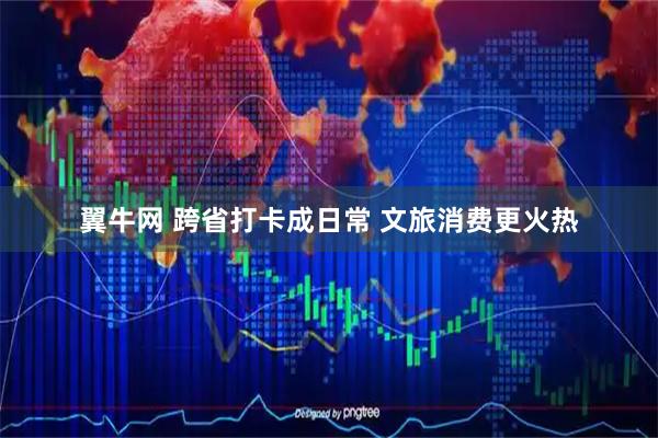 翼牛网 跨省打卡成日常 文旅消费更火热